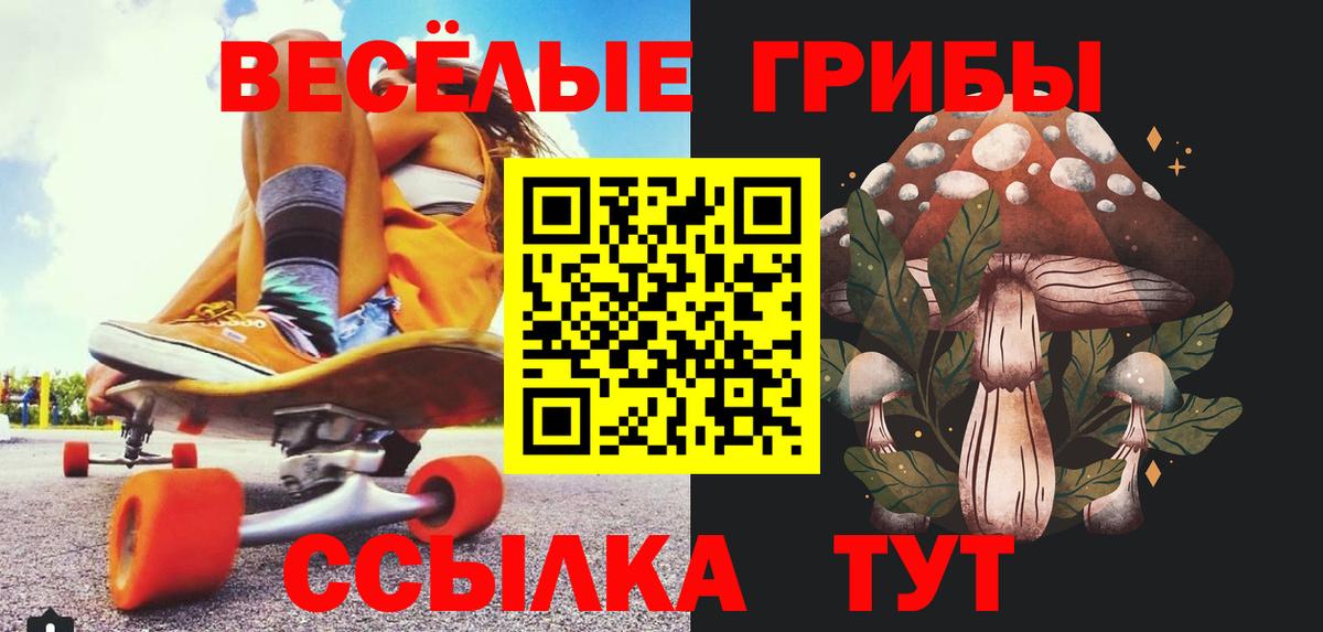Галлюциногенные грибы MAGIC MUSHROOMS Корсаков