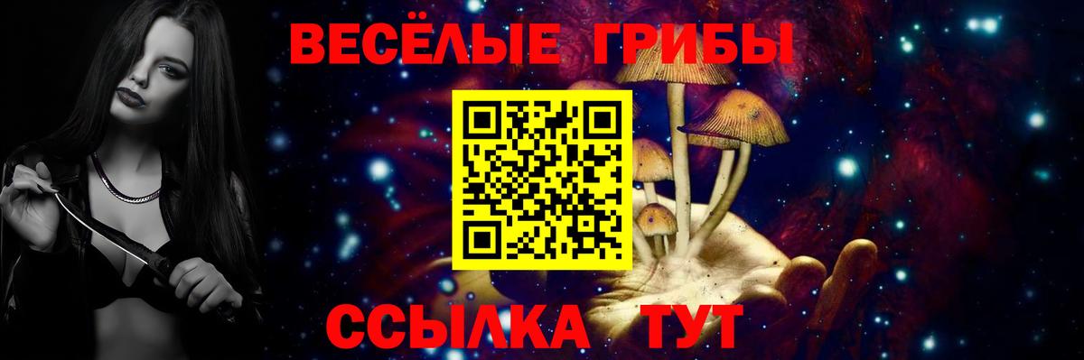 Псилоцибиновые грибы мицелий  Псилоцибиновые грибы Cubensis  Вход с VPN  Корсаков 