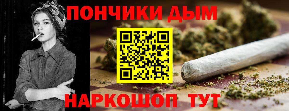 Конопля гибрид Корсаков